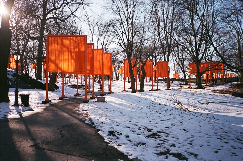Wandering through The Gates in Central Park in early 2005
