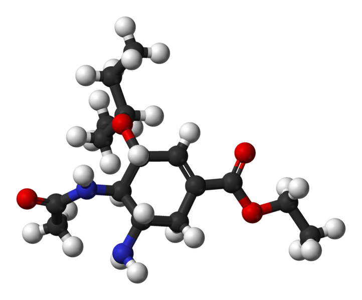 Tamiflu, also known as oseltamivir (courtesy of wikipedia)