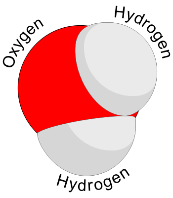 Water molecule, via Wikipedia/Booyabazooka