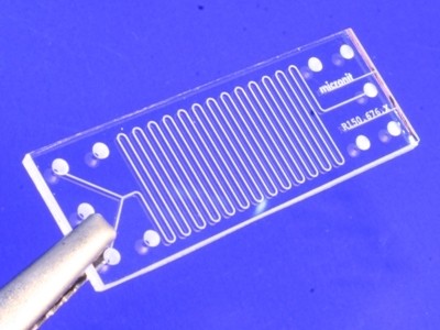 a microfluidic device (Micronit Microfluidics)