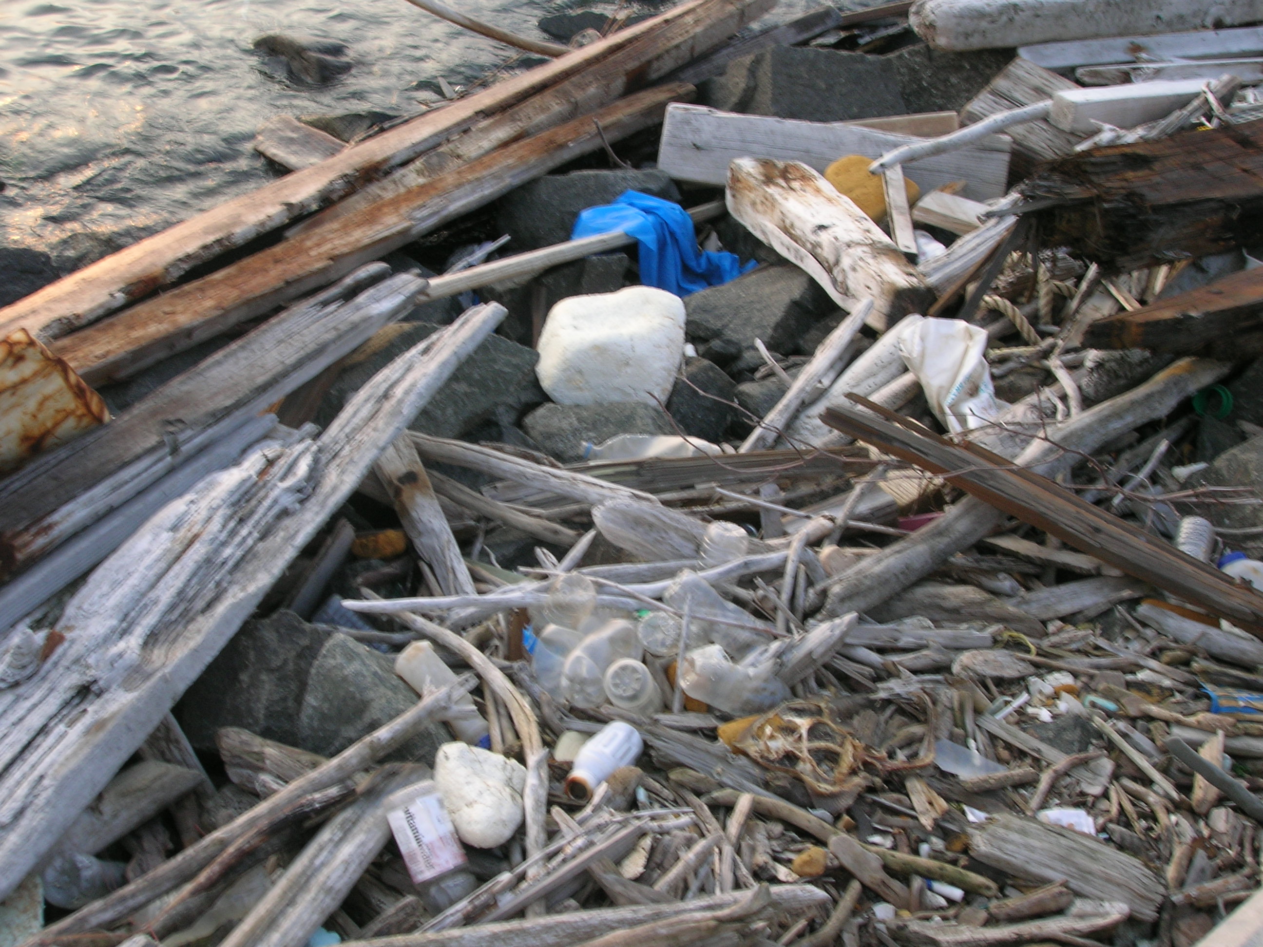 May 2009 photos of NY harbor garbage in Brooklyn